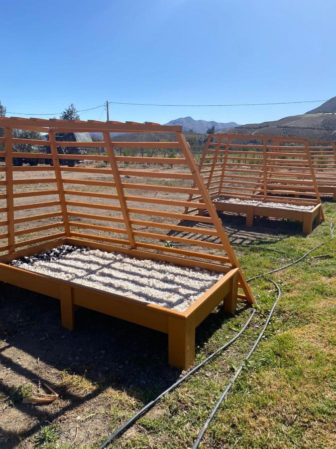 Cabanas Vicuna Cielo De Peralillo - Valle De Elqui Экстерьер фото